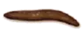 光滑腊肠